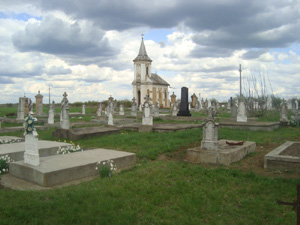 Friedhof 2012